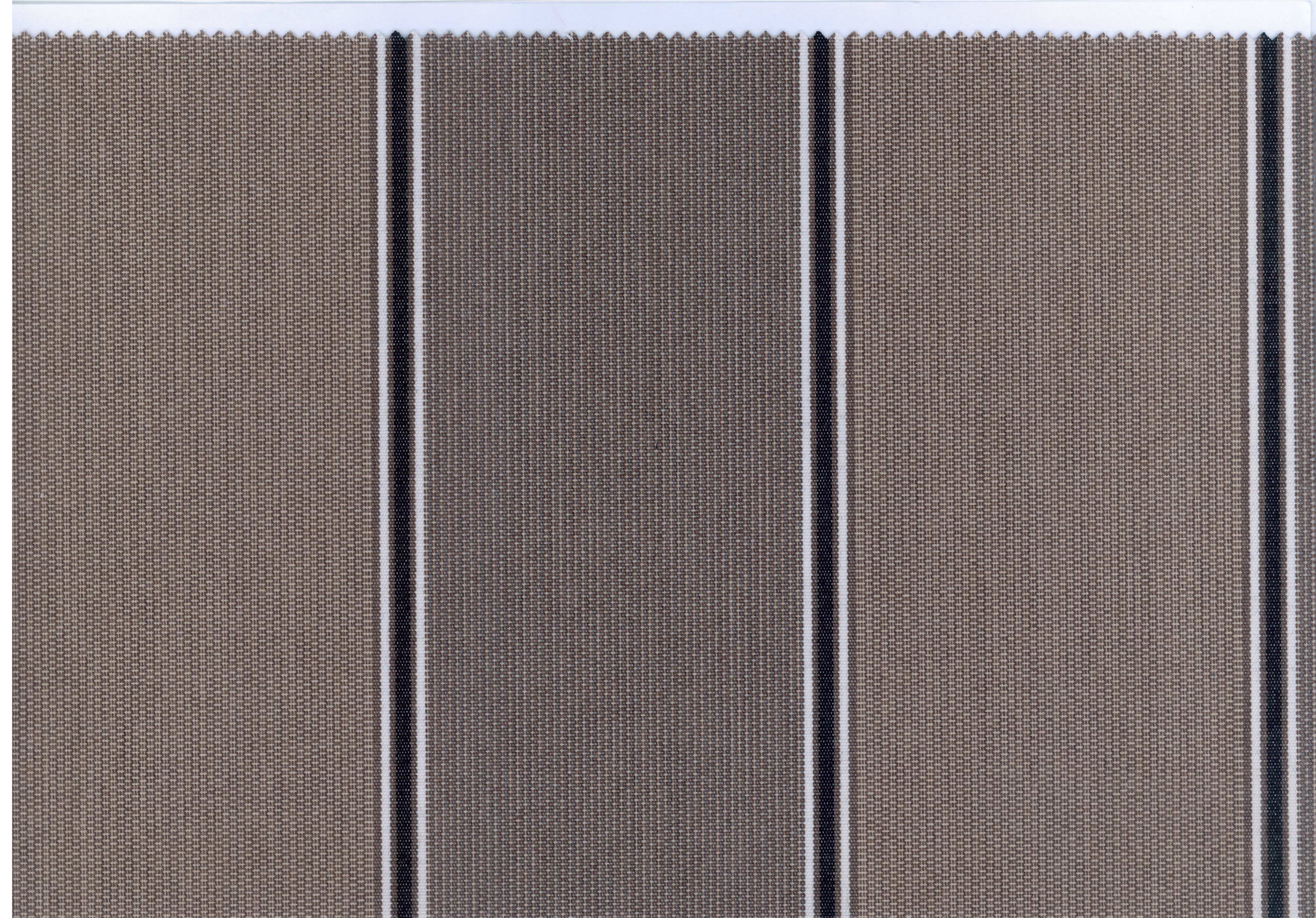 Sattler Brown Stripes Ridge 320 903