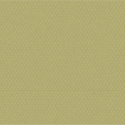 Outdura Fabric 11812 SAMBA Basil